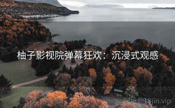 柚子影视院弹幕狂欢：沉浸式观感
