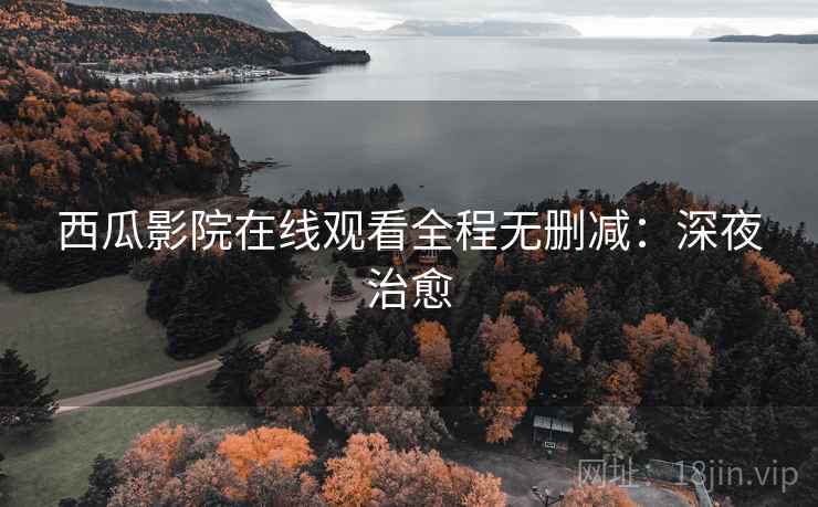 西瓜影院在线观看全程无删减：深夜治愈